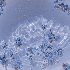 Meet your Posher, Juliana